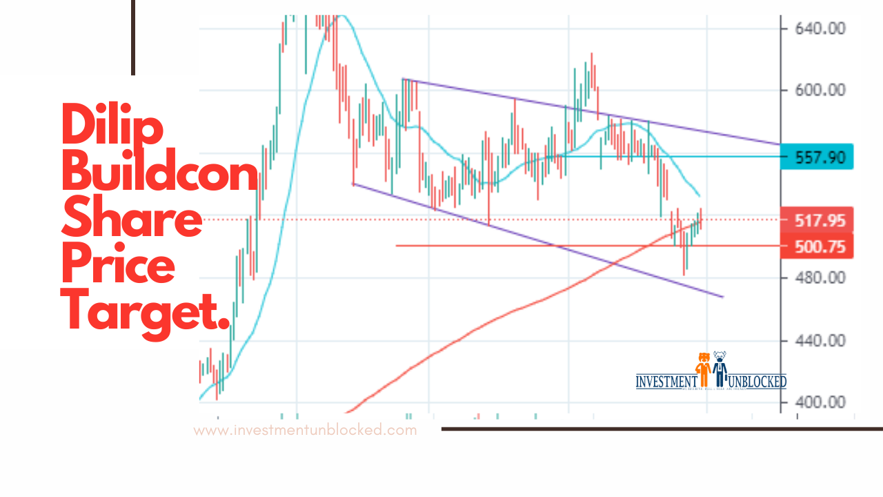 Dilip buildcon share price investment unblocked