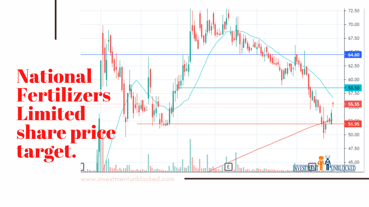 National Fertilizer share price target investment unblocked